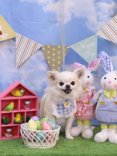 20240312りゅうくん